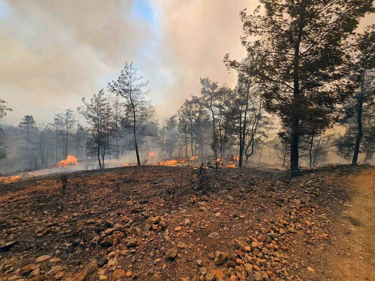 Muğla'nın Milas ve Köyceğiz ilçelerinde etkili olan orman yangınlarına karşı,