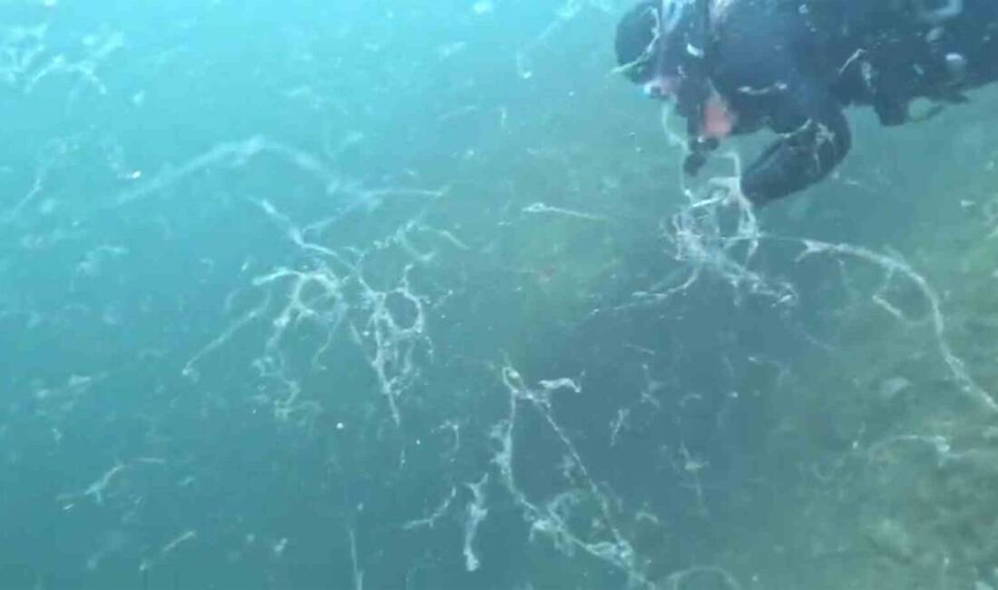 İklim değişikliği etkisiyle Marmara Denizi Sivriada’da müsilaj oluşumu gözlemlendi. Deniz