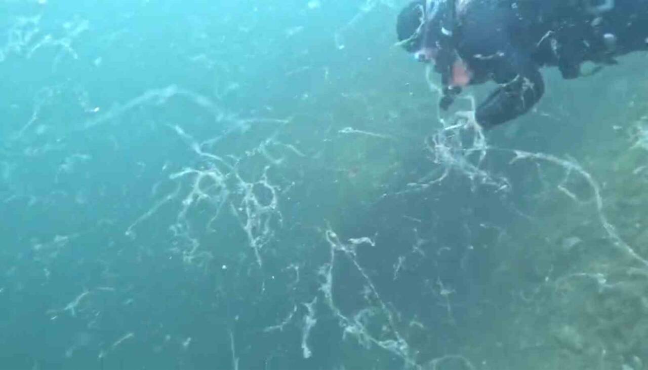 İklim değişikliği etkisiyle Marmara Denizi Sivriada’da müsilaj oluşumu gözlemlendi. Deniz