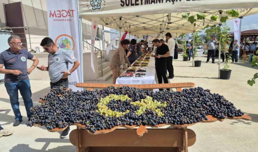 Tekirdağ Bağcılık Araştırma Enstitüsü, düzenlediği etkinlikte yeni üzüm çeşitlerini tanıttı.