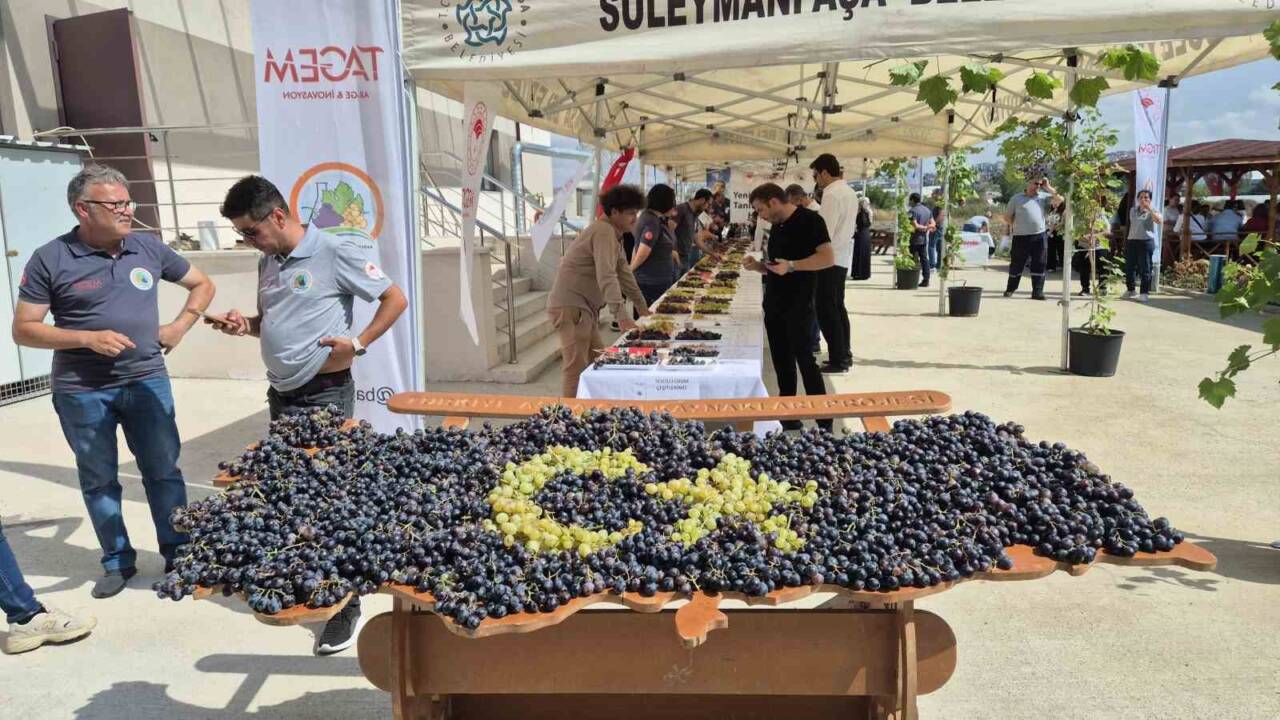 Tekirdağ Bağcılık Araştırma Enstitüsü, düzenlediği etkinlikte yeni üzüm çeşitlerini tanıttı.