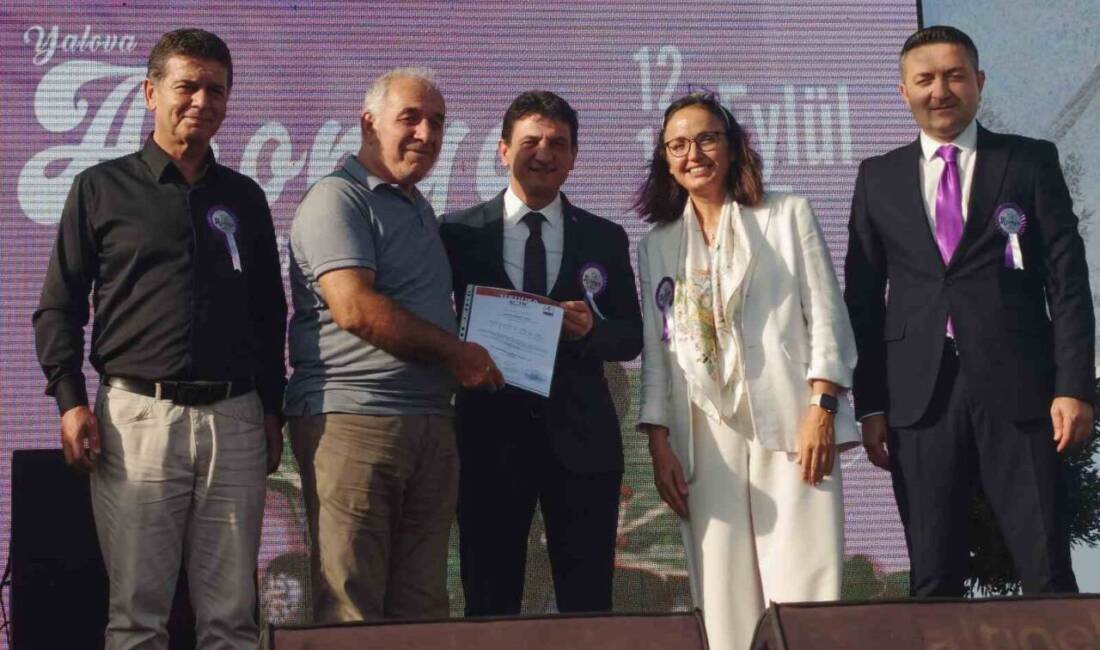 Yalova, 12-14 Eylül tarihleri arasında 2. Aronya Festivali'ne ev sahipliği