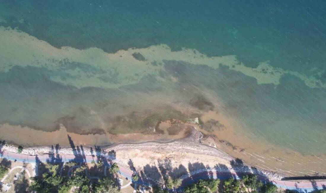 Yalova'da sahil bölgelerinde deniz suyu yaklaşık 5 metre çekildi. Bu