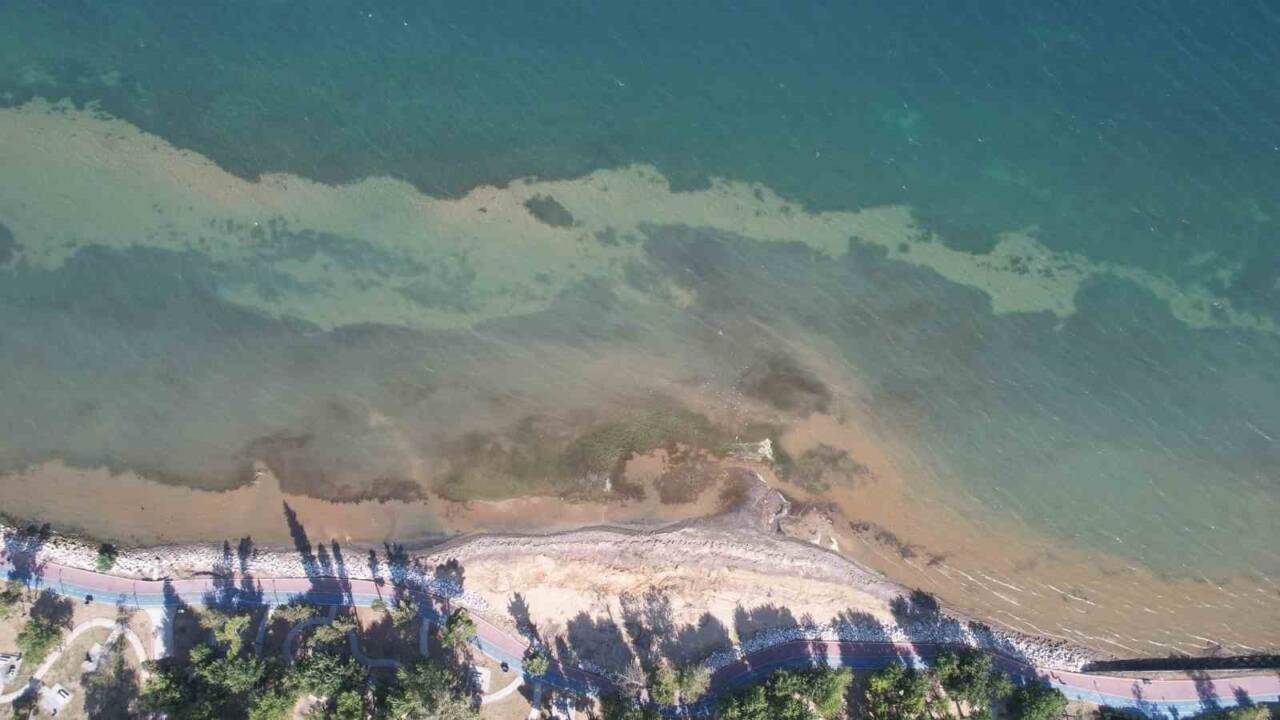 Yalova'da sahil bölgelerinde deniz suyu yaklaşık 5 metre çekildi. Bu