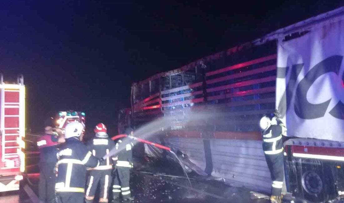 Yalova'nın Altınova ilçesinde Gebze-İzmir-İstanbul otoyolunda bir tır, gişe öncesinde henüz