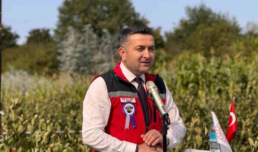 Yalova'nın coğrafi işaretli meyvesi aronya, Tarım ve Orman İl Müdürlüğü