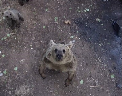 Bitlis'in Ahlat, Güroymak ve Tatvan ilçelerindeki Nemrut Kalderası'nda, doğa fotoğrafçısı