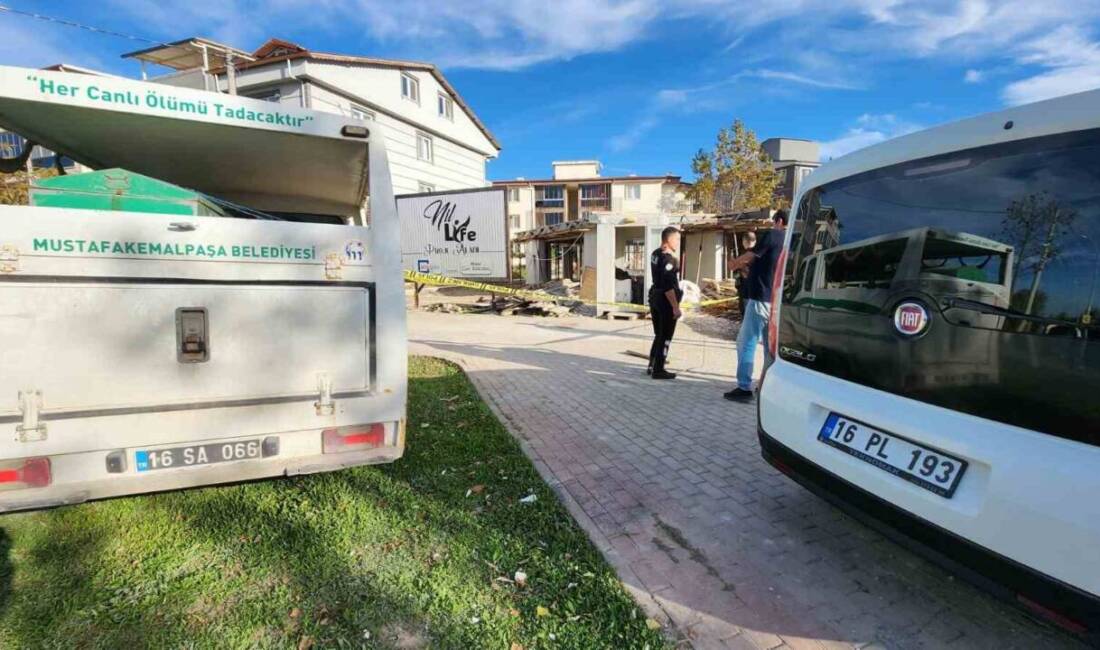 Bursa'nın Mustafakemalpaşa ilçesinde, 65 yaşındaki bekçi Sebahattin Efe, inşaat alanındaki