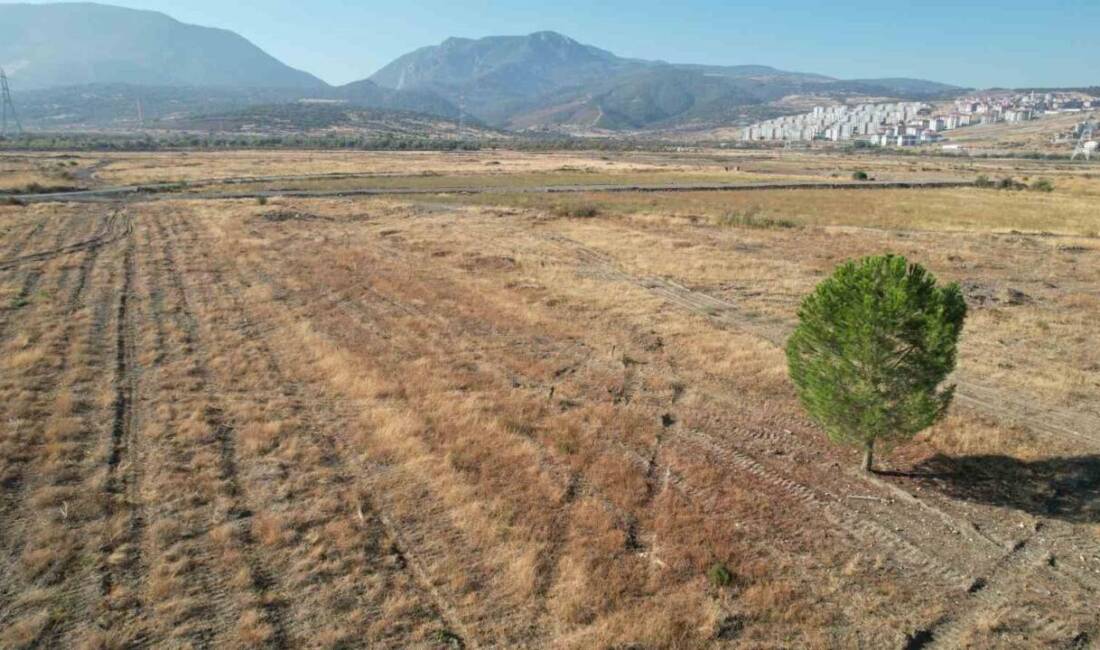 MANİSA (İHA) – BYD'nin Manisa'da kuracağı elektrikli ve hibrit araç