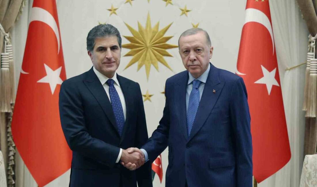 Cumhurbaşkanı Recep Tayyip Erdoğan, Irak Kürt Bölgesel Yönetimi Başkanı Mesut