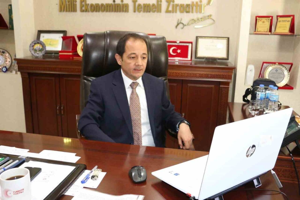 Erzincan İl Tarım ve Orman Müdürü Alper Koçaker, büyükbaş hayvanların