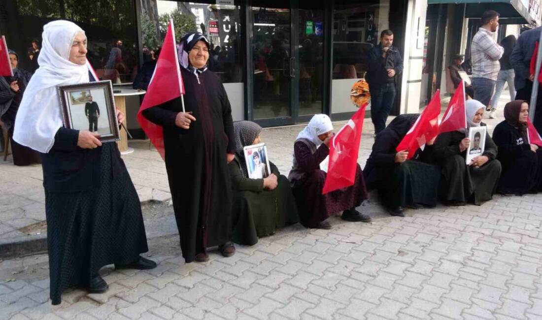 Van'da, "Terörsüz Türkiye" çağrısıyla evlat nöbeti tutan 35 aile, 109.