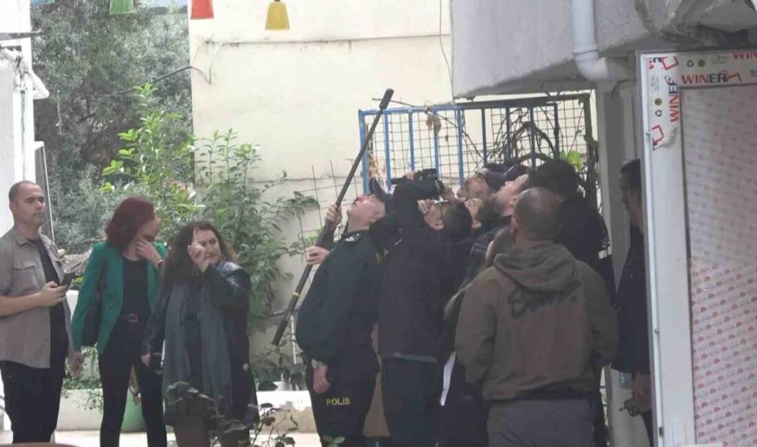 Yalova'nın Çınarcık ilçesinde, ünlü sanatçı Güllü (Gül Tut), 26 Eylül