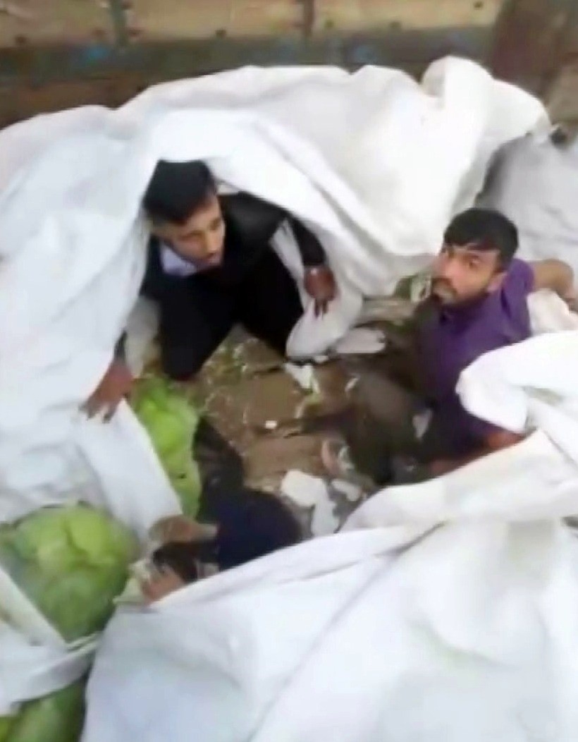 Sakarya'da Anadolu Otoyolu'nda yapılan bir operasyonda, V.K. isimli tır sürücüsünün