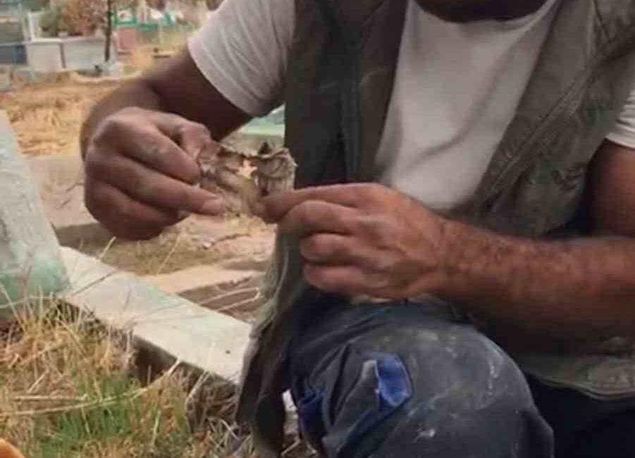 Diyarbakır'da Barış Karabulut, mezar kazarken kefenlenmiş bir oyuncak bebek buldu.