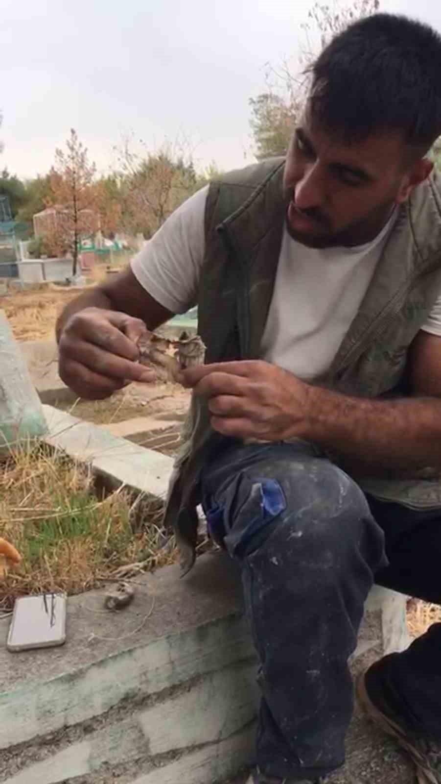 Diyarbakır'da Barış Karabulut, mezar kazarken kefenlenmiş bir oyuncak bebek buldu.