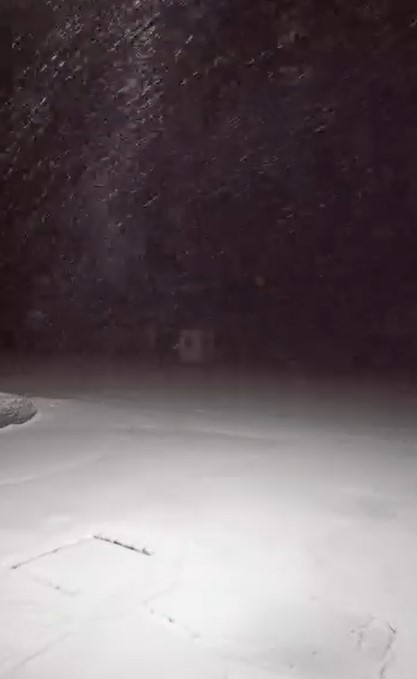 Bursa'nın Uludağ bölgesinde etkili olan kar yağışı, Sarıalan ve otellerde