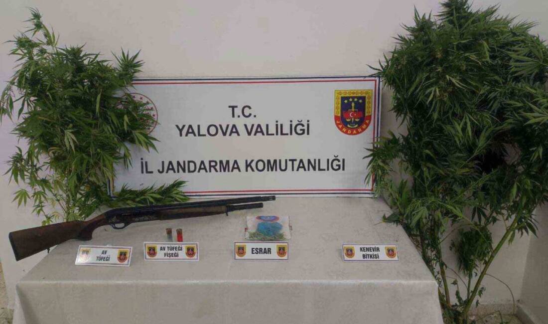 Yalova'nın Altınova ilçesinde düzenlenen uyuşturucu operasyonunda, D.Ö. ve G.Ş. isimli