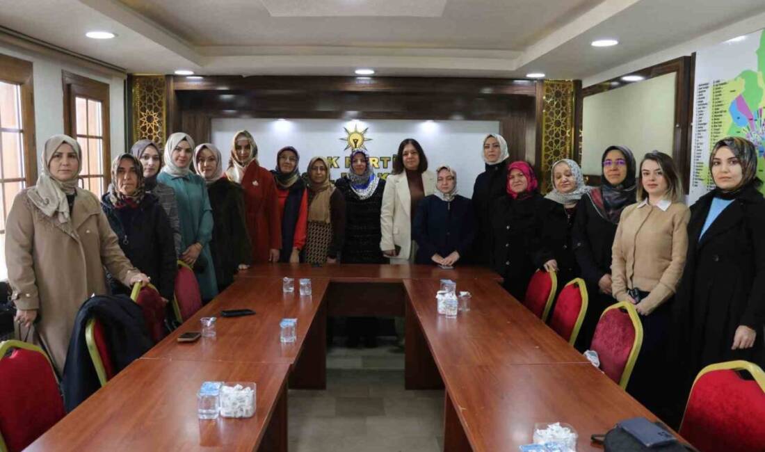 Sivas AK Parti Kadın Kolları, 25 Kasım Dünya Kadına Yönelik