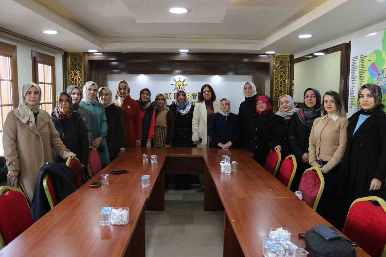 Sivas AK Parti Kadın Kolları, 25 Kasım Dünya Kadına Yönelik