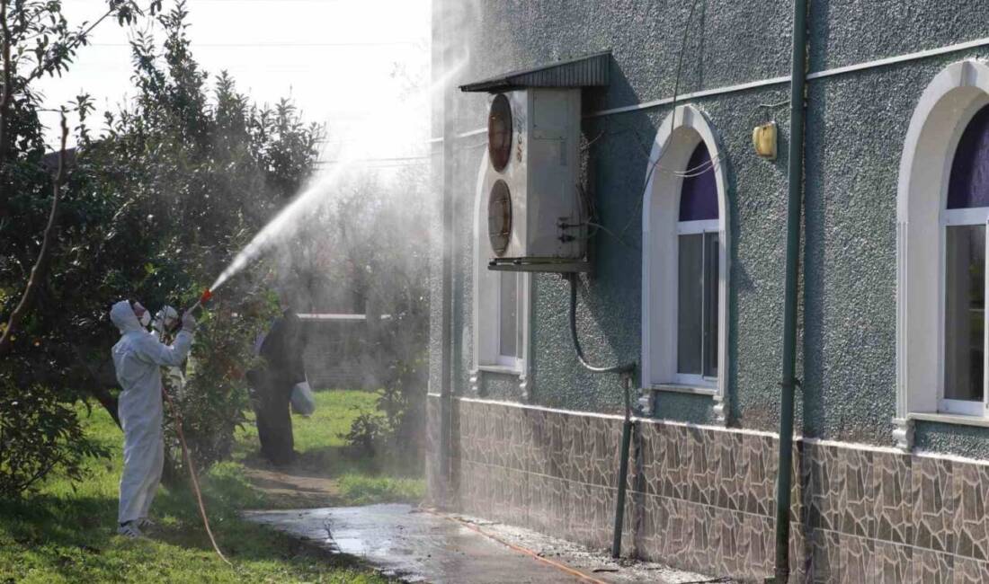 Samsun'un Terme ilçesinde, kahverengi kokarca zararlısına karşı 850 hane, 23
