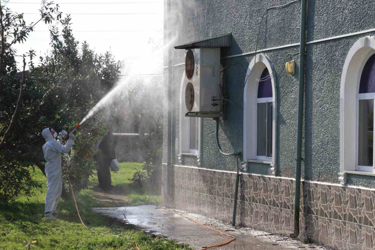 Samsun'un Terme ilçesinde, kahverengi kokarca zararlısına karşı 850 hane, 23
