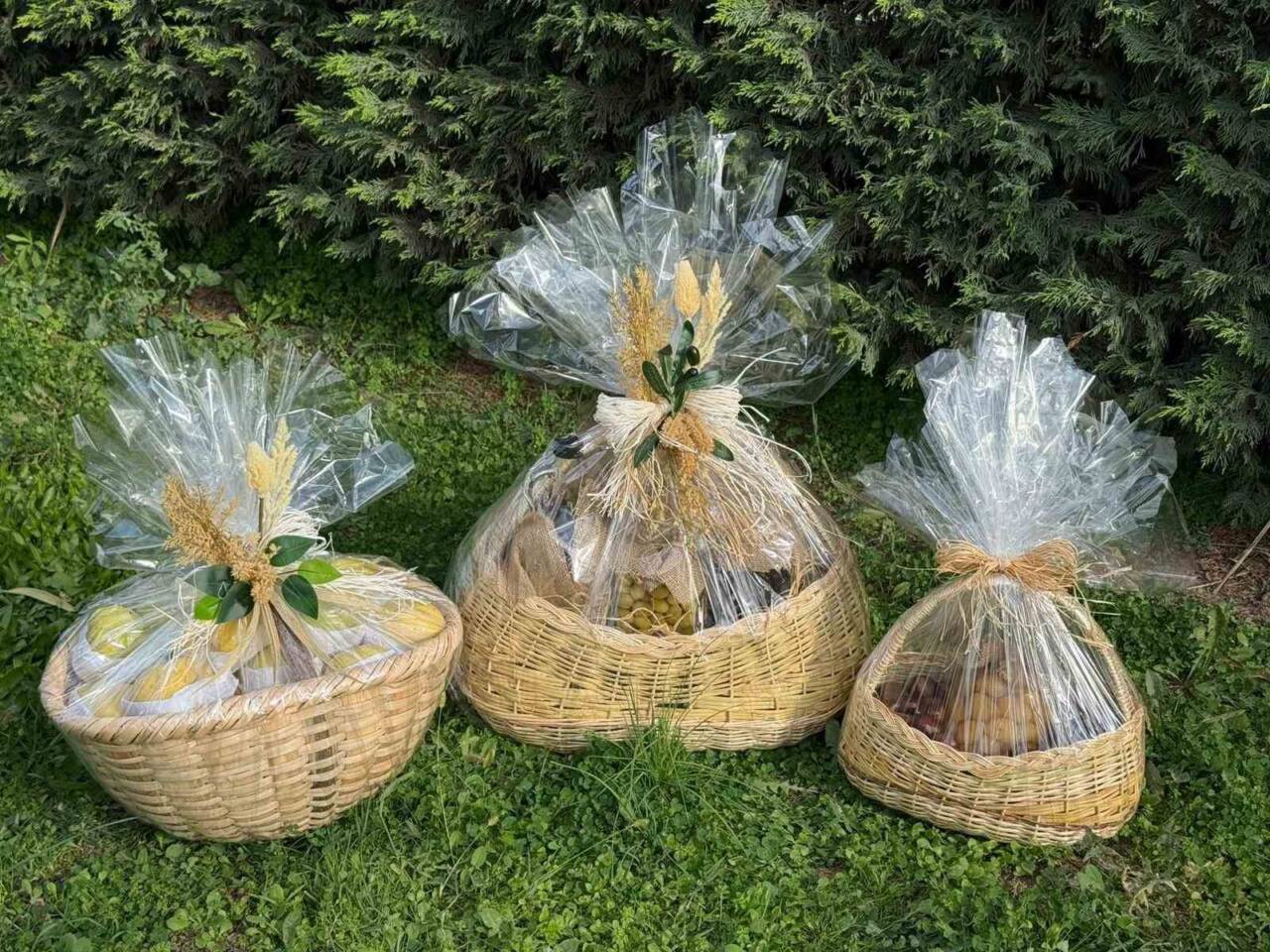 BURSA (İHA) – Papa 14. Leo, Türkiye'deki ilk ziyaretinde Bursa'nın