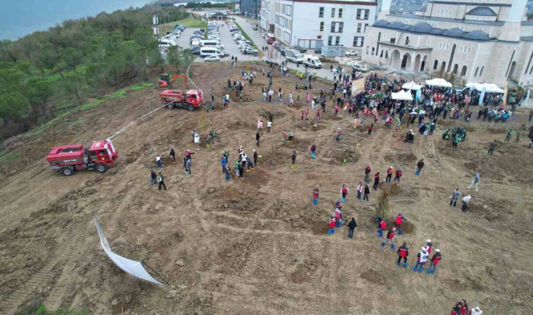 Yalova, 11 Kasım Milli Ağaçlandırma Günü'nde "Sevdamız Yeşil Vatan" temasıyla