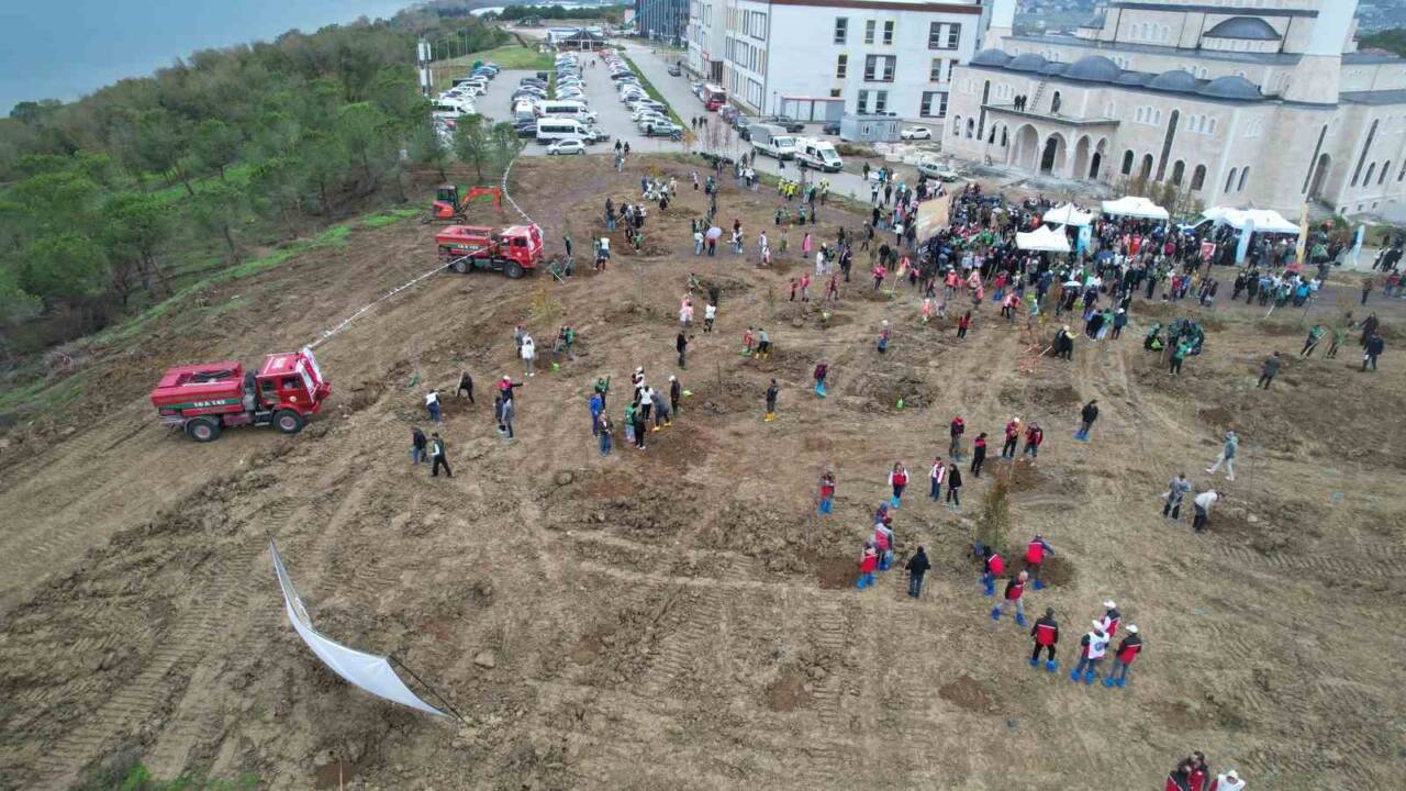 Yalova, 11 Kasım Milli Ağaçlandırma Günü'nde "Sevdamız Yeşil Vatan" temasıyla