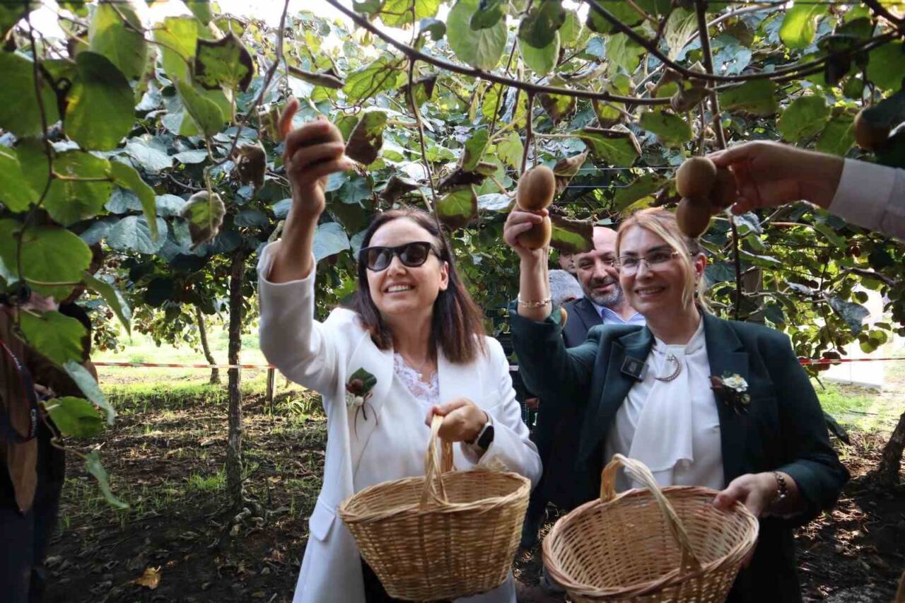 Yalova’nın Altınova ilçesinde düzenlenen hasat töreninde, coğrafi işaretli kivi üretiminin