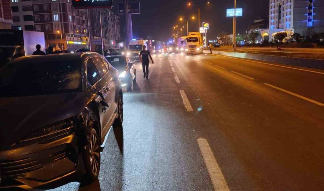 Ağrı'da otomobilin çarptığı S. K. idaresindeki iki kadından biri hayatını