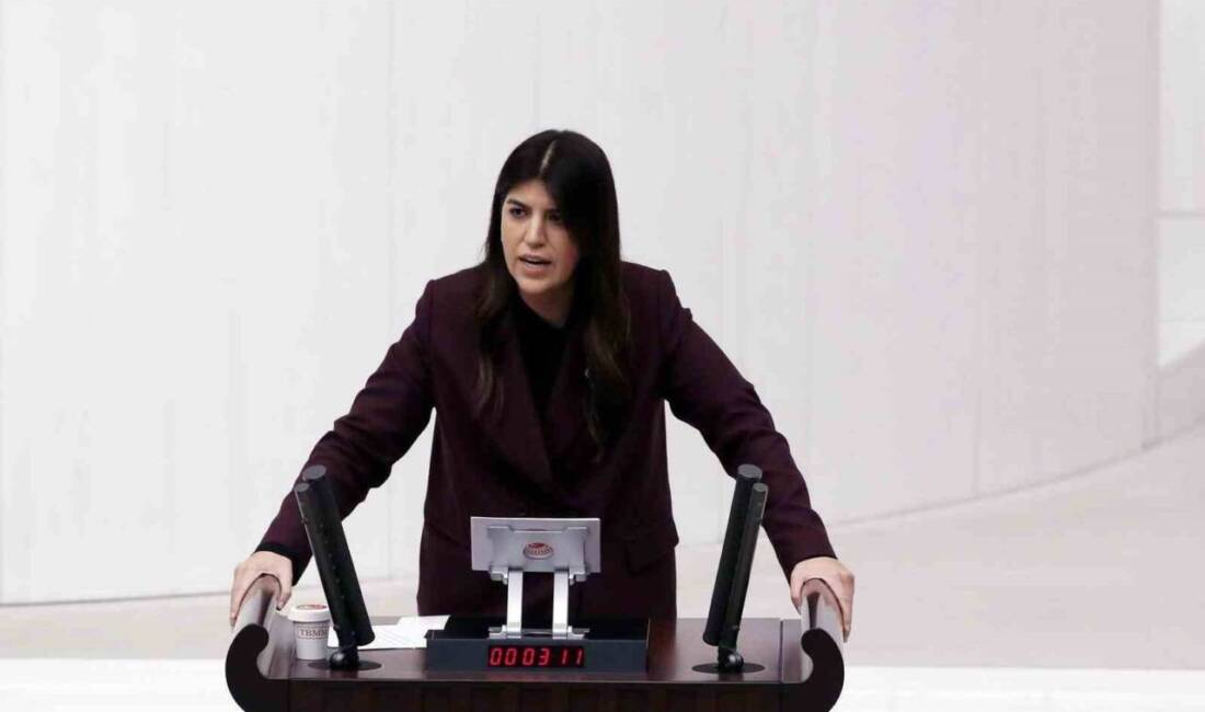 AK Parti İstanbul Milletvekili Derya Ayaydın, Türkiye'nin 2026 yılı sanayi