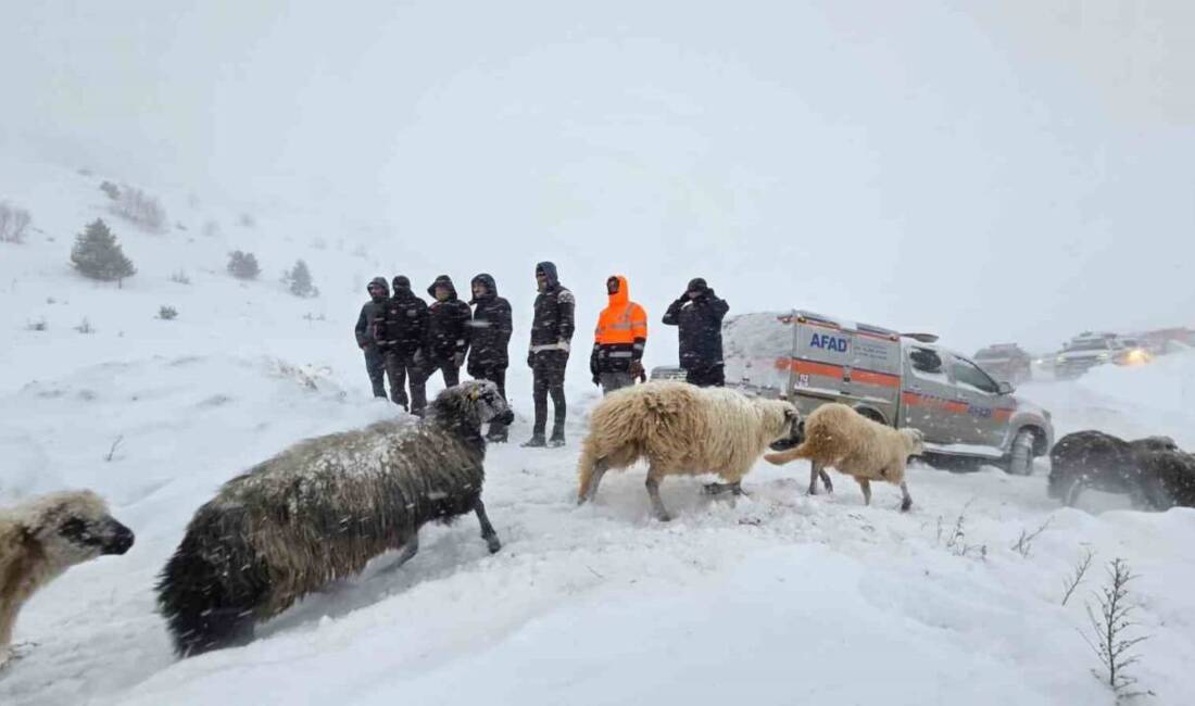 Artvin'in Ardanuç ilçesinde meydana gelen çığda 3 çoban ile sürü