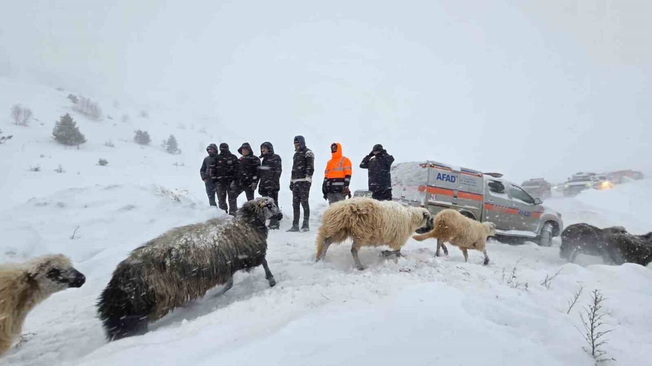 Artvin'in Ardanuç ilçesinde meydana gelen çığda 3 çoban ile sürü