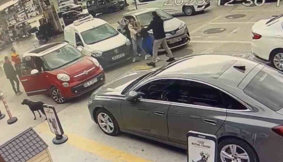 Muğla'nın Bodrum ilçesinde T.K. yönetimindeki araç, E.K.'ya ait park halindeki