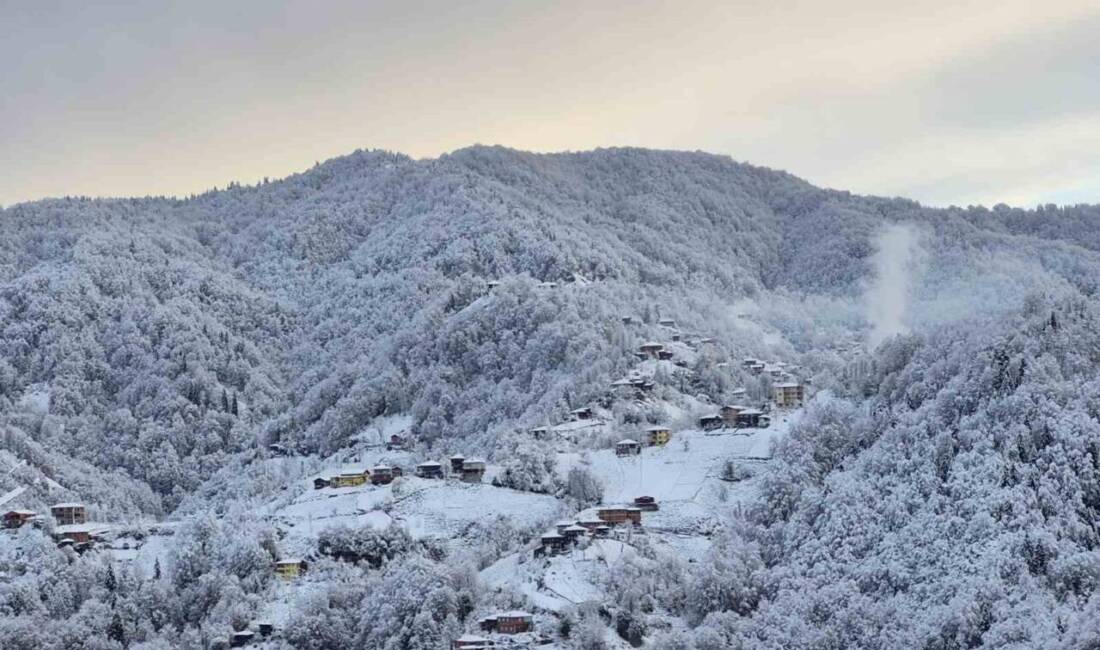 Rize'nin yüksek kesimlerinde etkili olan kar yağışı, yaylaları beyaza bürüdü