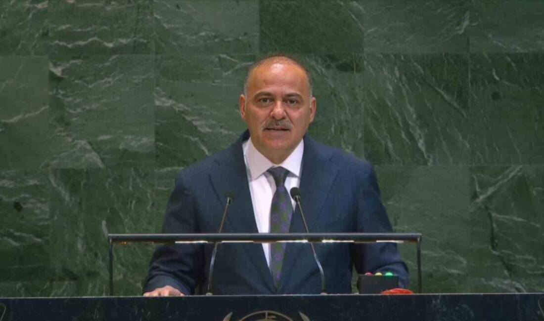 Ulaştırma ve Altyapı Bakan Yardımcısı Ömer Fatih Sayan, BM Genel