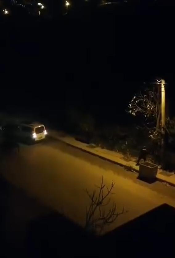 Yalova'da DEAŞ terör örgütüne yönelik yapılan operasyonda polis ile teröristler