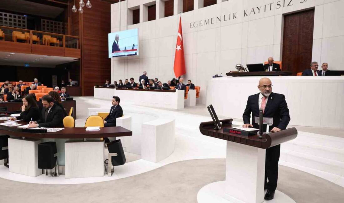 AK Parti Kayseri Milletvekili Murat Cahid Cıngı, 2025 yılı meclis