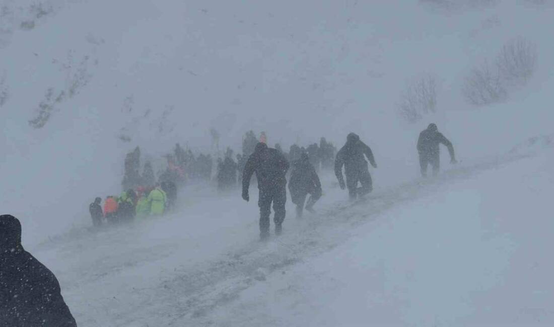 Artvin'in Ardanuç ilçesinde çığ altında kalan çobanların arama kurtarma çalışmaları