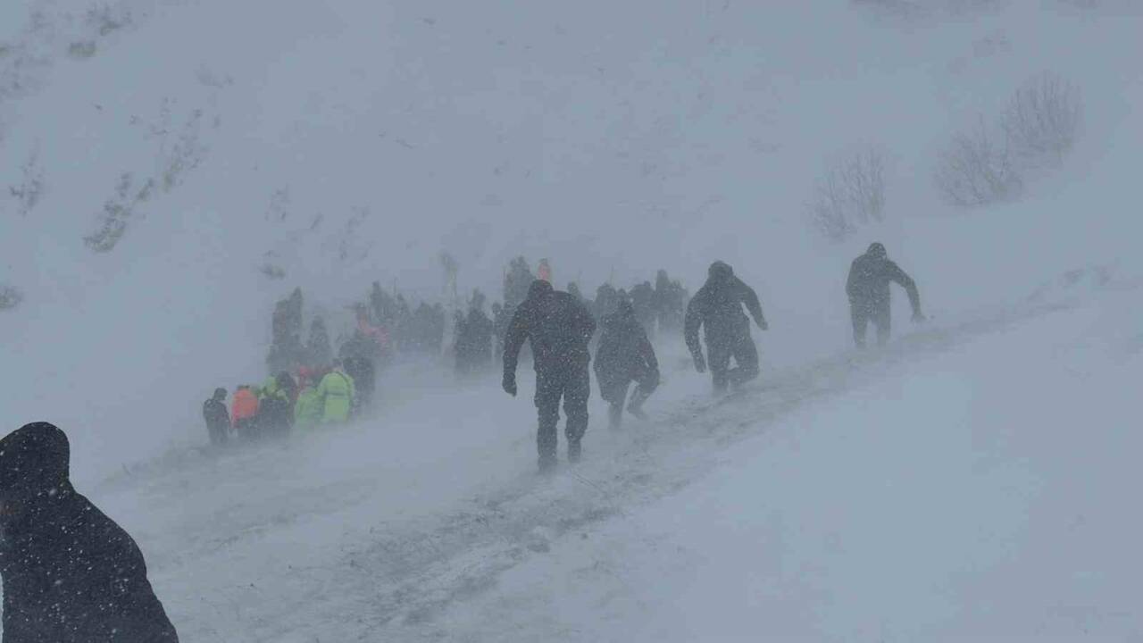 Artvin'in Ardanuç ilçesinde çığ altında kalan çobanların arama kurtarma çalışmaları