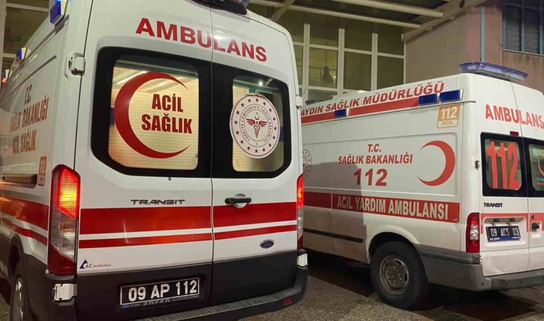 Aydın'ın Efeler ilçesinde Nurettin Aslıhan (58), üvey oğlu S.K. (32)
