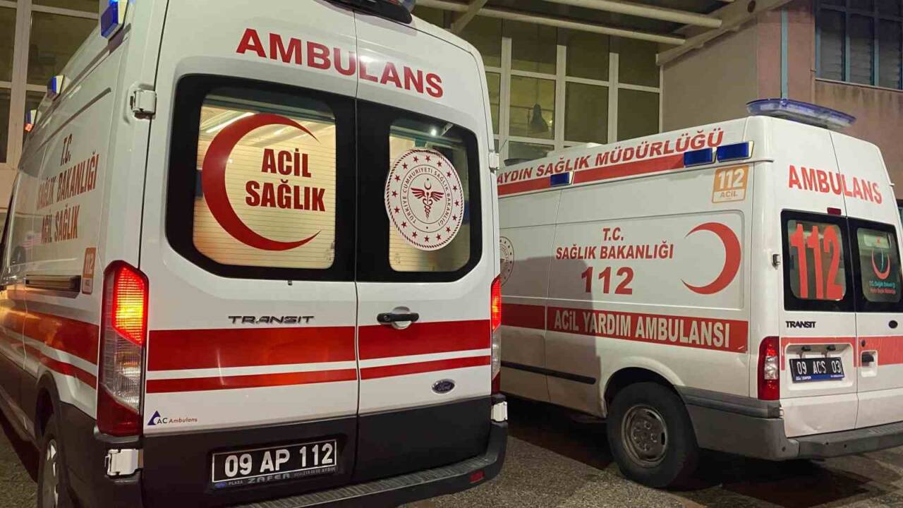 Aydın'ın Efeler ilçesinde Nurettin Aslıhan (58), üvey oğlu S.K. (32)