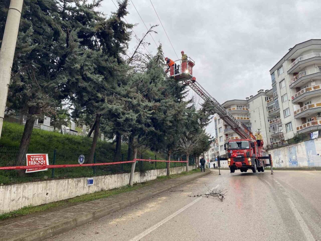 Mudanya'nın Güzelyalı Eğitim Mahallesi'nde etkili lodos sonucu bir ağaç devrildi