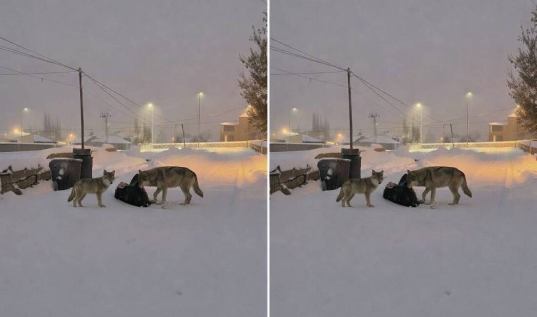 Ağrı'nın Diyadin ilçesindeki Atatürk Mahallesi'nde yoğun kar yağışı ve soğuk
