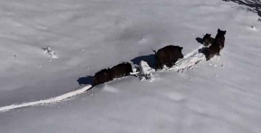 Erzincan'da kar yağışının ardından Murat Aydemir'in drone ile çekim yaptığı