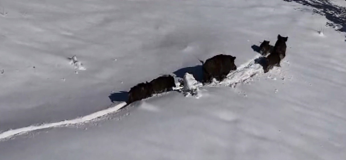 Erzincan'da kar yağışının ardından Murat Aydemir'in drone ile çekim yaptığı