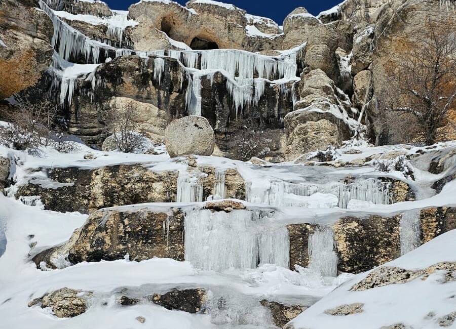 Malatya'da dondurucu soğuklar, ağaçları, bitkileri ve akarsuları etkisi altına aldı.