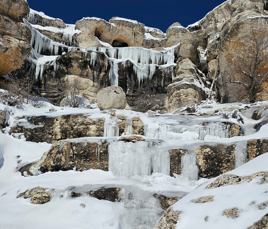 Malatya'da dondurucu soğuklar, ağaçları, bitkileri ve akarsuları etkisi altına aldı.