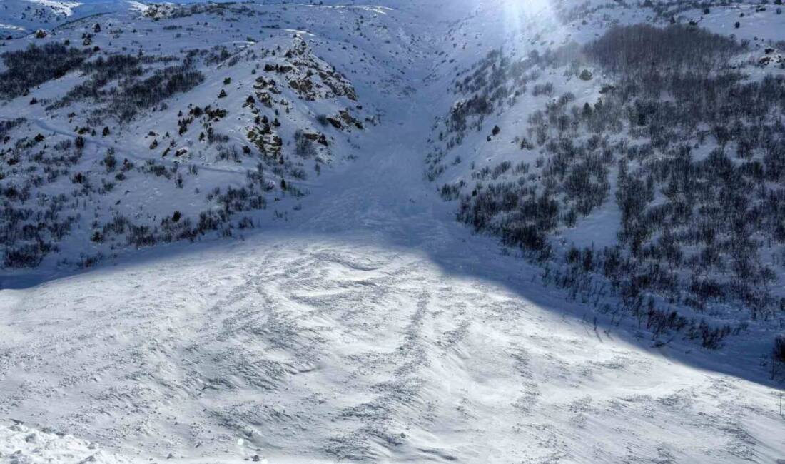 Van-Çatak karayolu, yoğun kar yağışı ve çığ düşmeleri nedeniyle 4